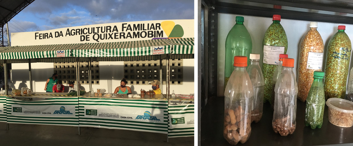 Fig. 5 Refer to the following caption and surrounding text.