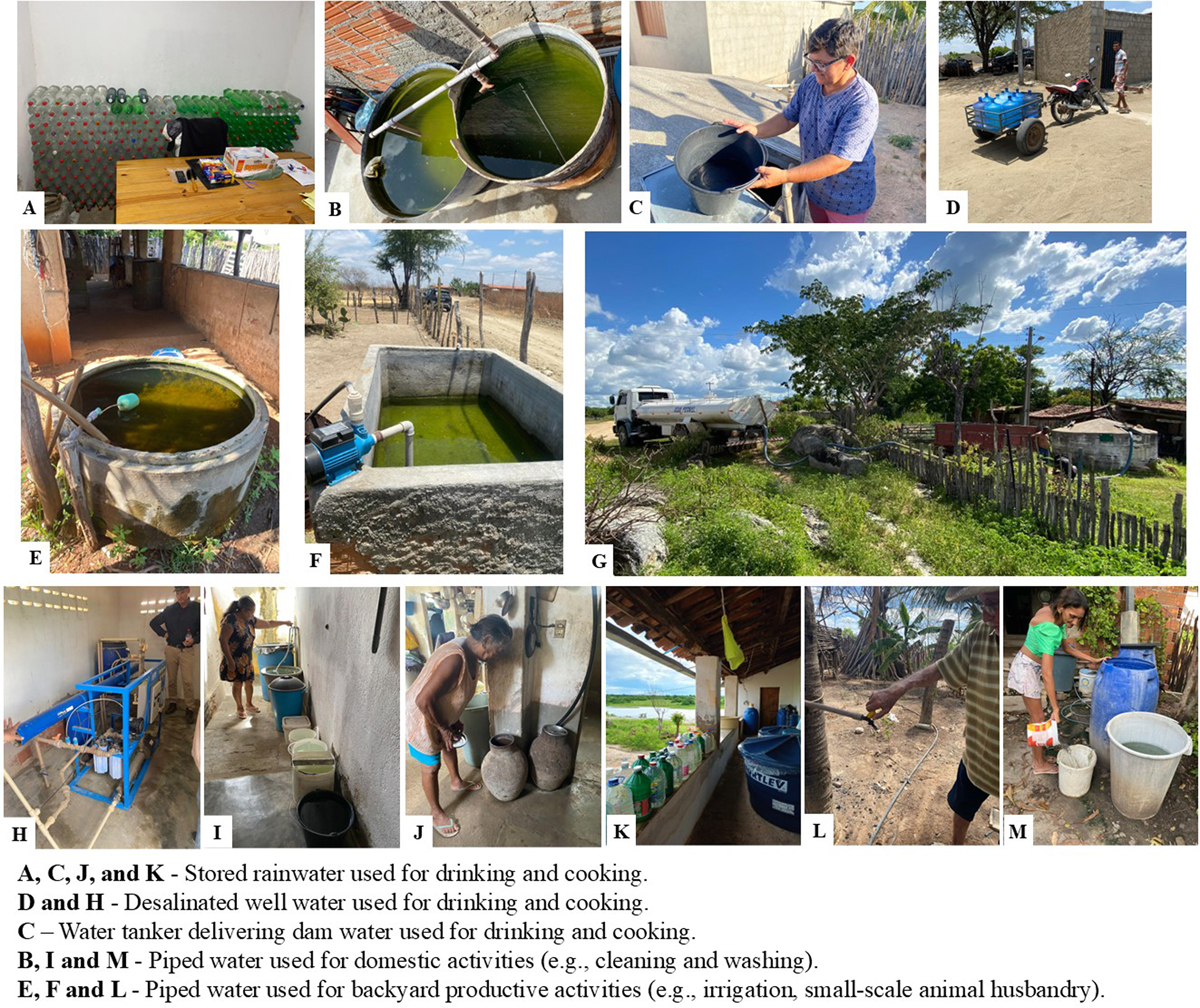 Fig. 6 Refer to the following caption and surrounding text.